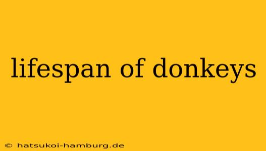 lifespan of donkeys