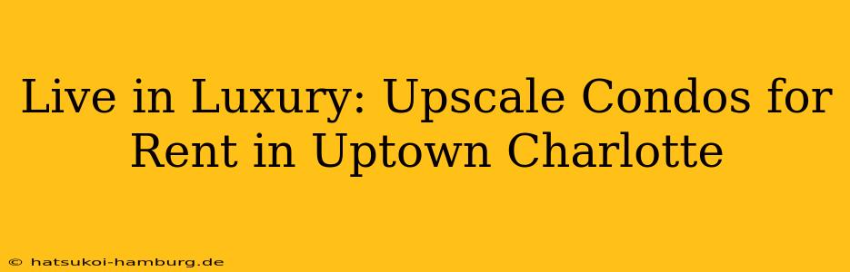 Live in Luxury: Upscale Condos for Rent in Uptown Charlotte