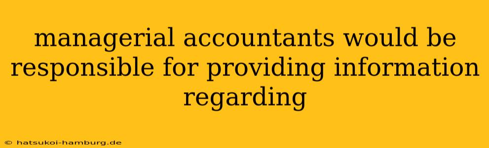 managerial accountants would be responsible for providing information regarding