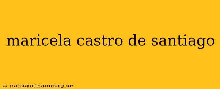 maricela castro de santiago