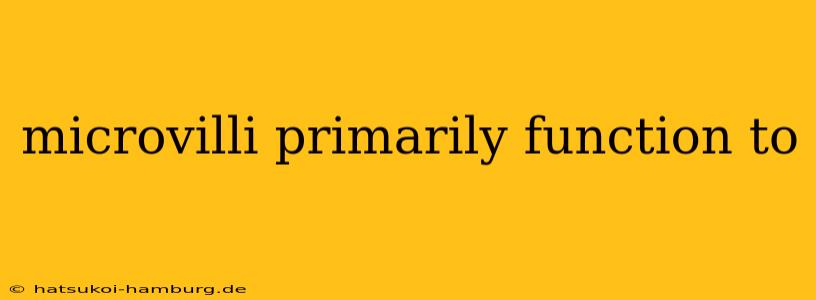 microvilli primarily function to