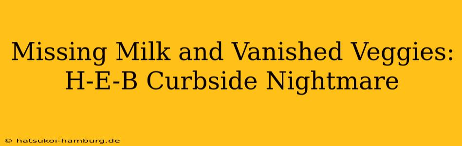 Missing Milk and Vanished Veggies: H-E-B Curbside Nightmare