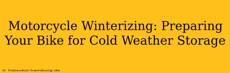 Motorcycle Winterizing: Preparing Your Bike for Cold Weather Storage