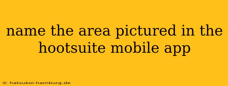 name the area pictured in the hootsuite mobile app