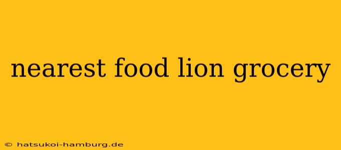 nearest food lion grocery