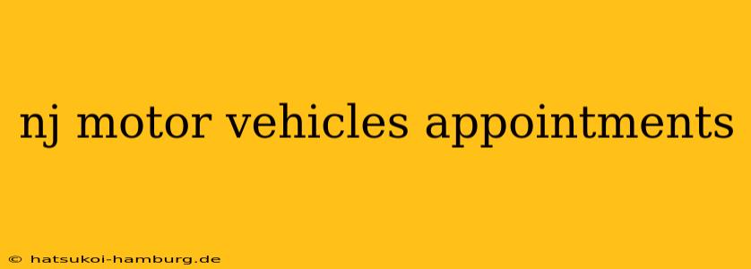 nj motor vehicles appointments