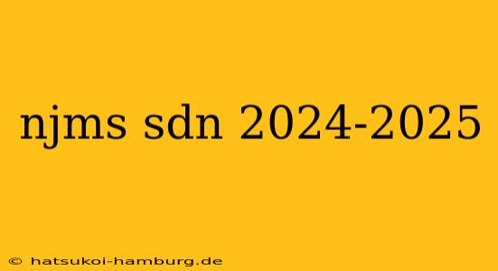 njms sdn 2024-2025