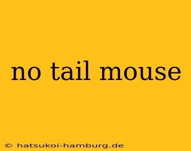 no tail mouse