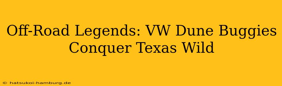 Off-Road Legends: VW Dune Buggies Conquer Texas Wild