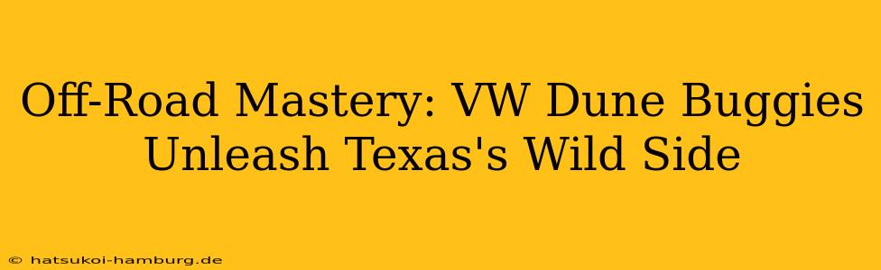 Off-Road Mastery: VW Dune Buggies Unleash Texas's Wild Side