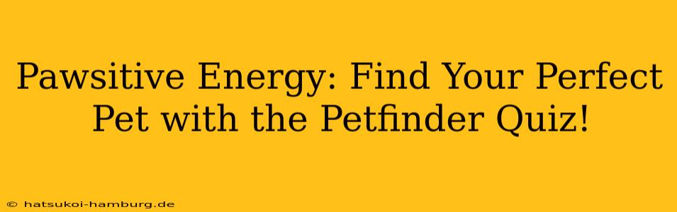 Pawsitive Energy: Find Your Perfect Pet with the Petfinder Quiz!