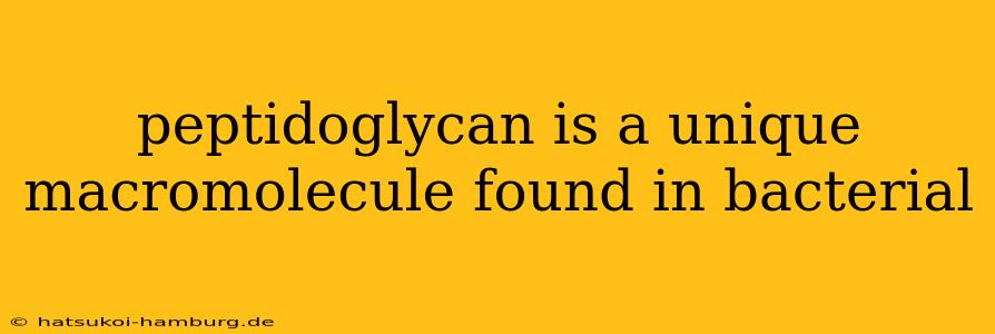 peptidoglycan is a unique macromolecule found in bacterial