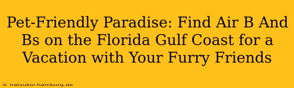 Pet-Friendly Paradise: Find Air B And Bs on the Florida Gulf Coast for a Vacation with Your Furry Friends