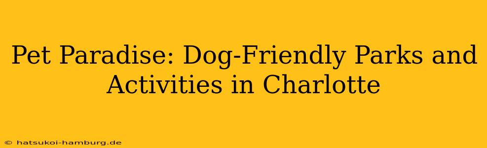 Pet Paradise: Dog-Friendly Parks and Activities in Charlotte