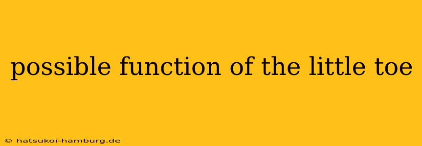 possible function of the little toe