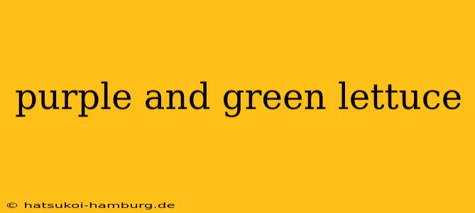 purple and green lettuce