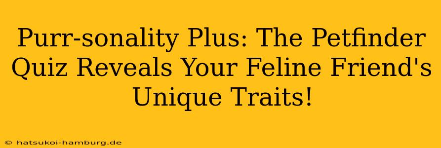 Purr-sonality Plus: The Petfinder Quiz Reveals Your Feline Friend's Unique Traits!