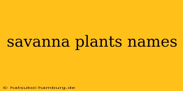 savanna plants names