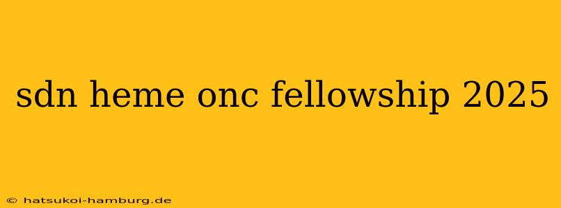 sdn heme onc fellowship 2025