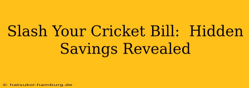 Slash Your Cricket Bill:  Hidden Savings Revealed