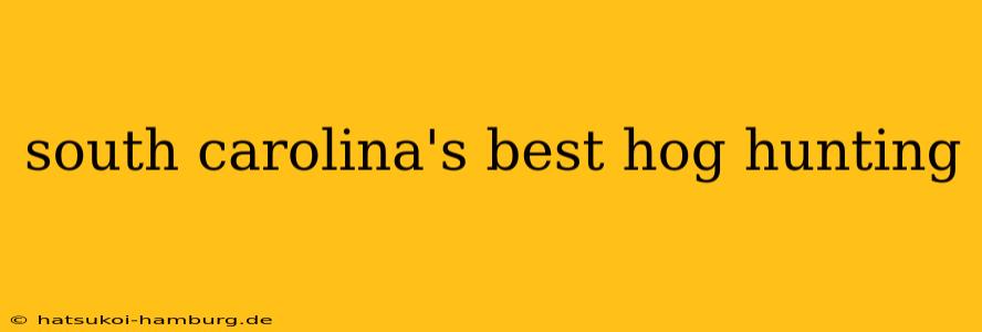 south carolina's best hog hunting