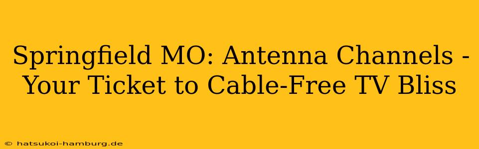 Springfield MO: Antenna Channels - Your Ticket to Cable-Free TV Bliss