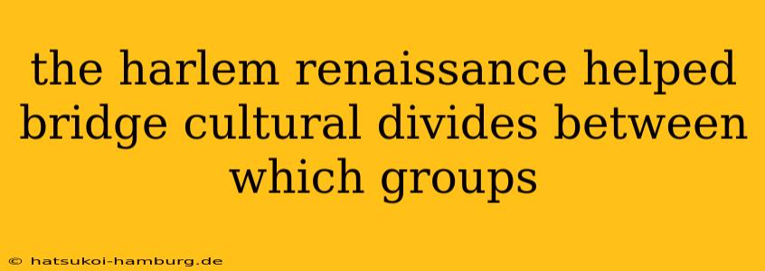the harlem renaissance helped bridge cultural divides between which groups