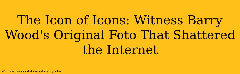 The Icon of Icons: Witness Barry Wood's Original Foto That Shattered the Internet