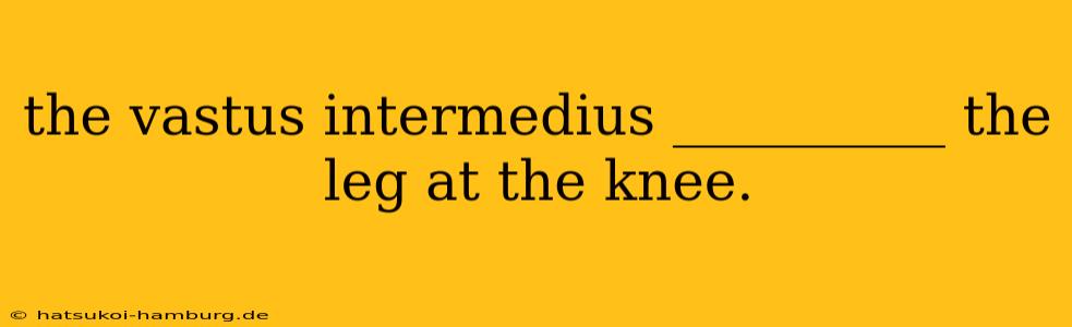 the vastus intermedius __________ the leg at the knee.