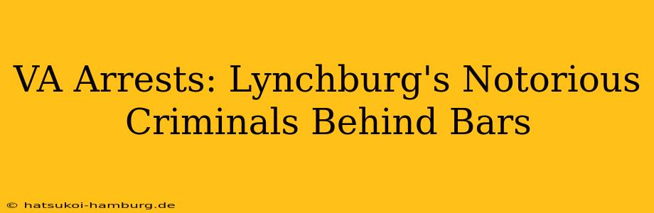VA Arrests: Lynchburg's Notorious Criminals Behind Bars