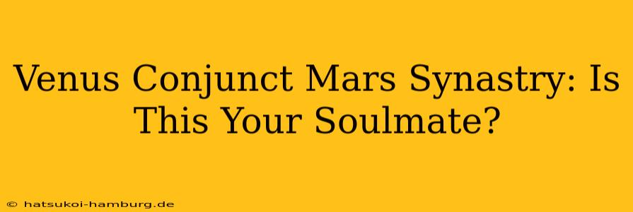 Venus Conjunct Mars Synastry: Is This Your Soulmate?