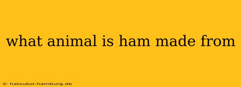 what animal is ham made from