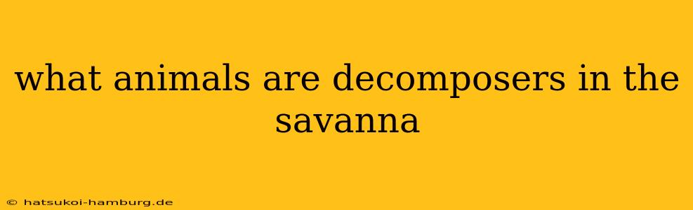 what animals are decomposers in the savanna