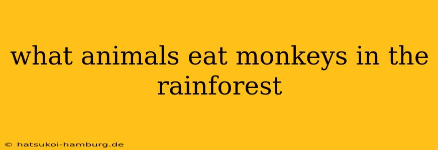 what animals eat monkeys in the rainforest