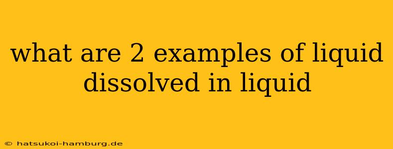 what are 2 examples of liquid dissolved in liquid