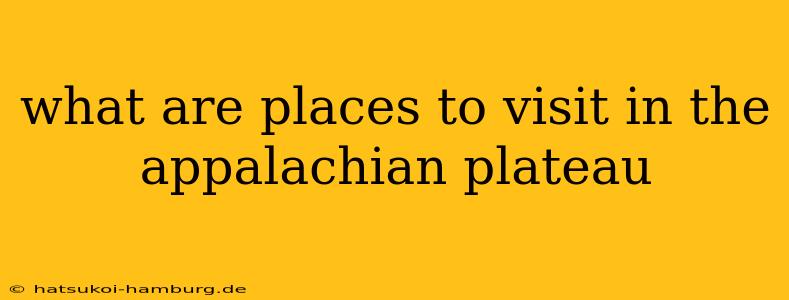 what are places to visit in the appalachian plateau