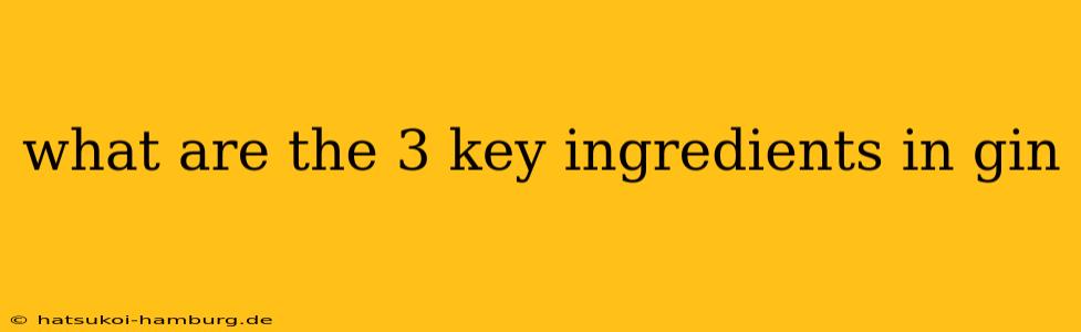 what are the 3 key ingredients in gin