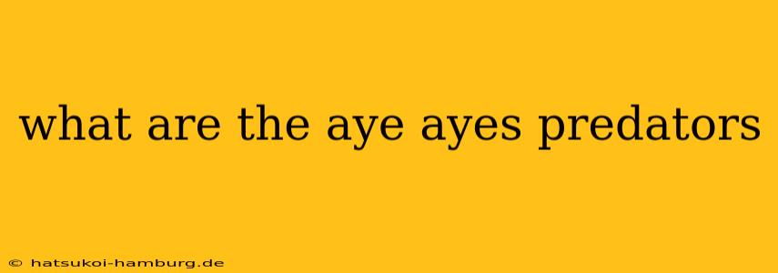 what are the aye ayes predators