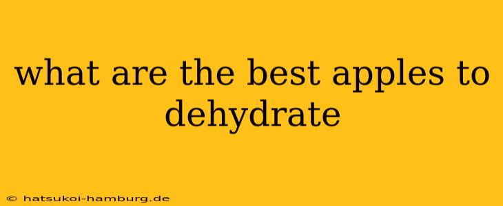 what are the best apples to dehydrate