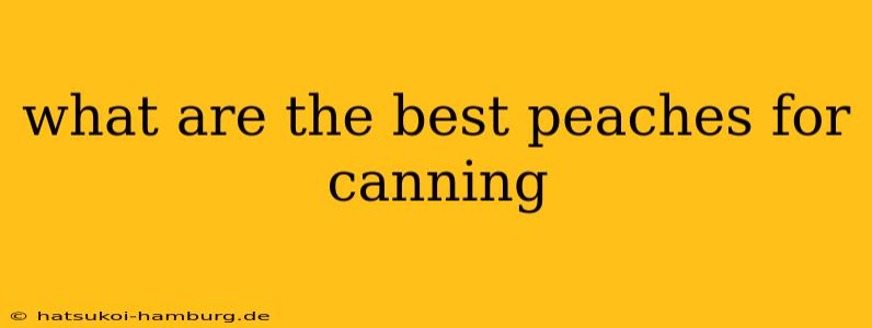 what are the best peaches for canning