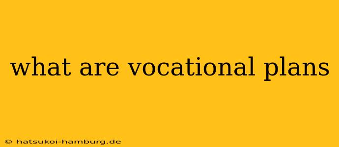 what are vocational plans
