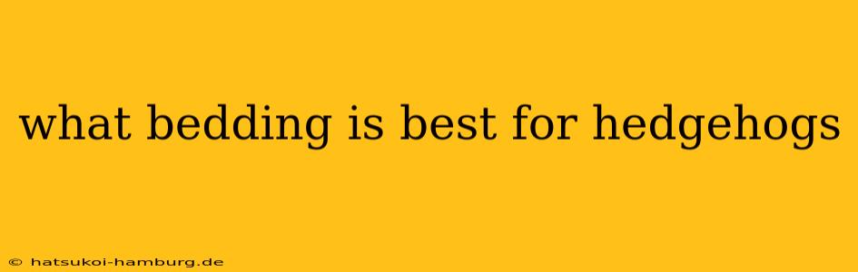 what bedding is best for hedgehogs