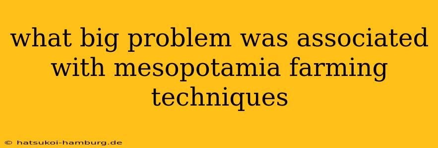 what big problem was associated with mesopotamia farming techniques