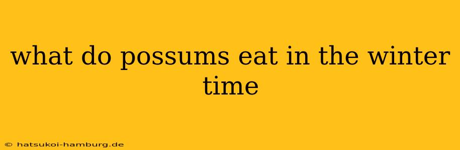what do possums eat in the winter time