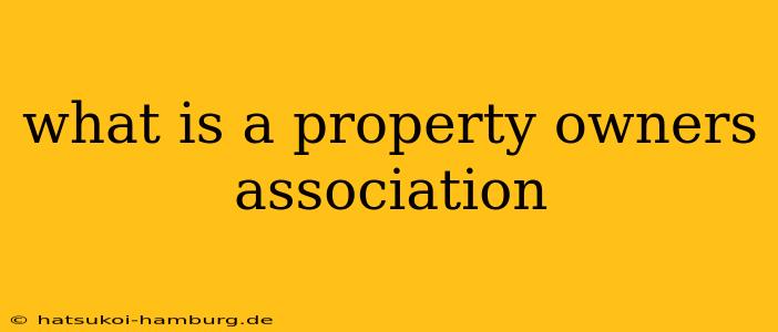 what is a property owners association