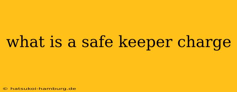 what is a safe keeper charge