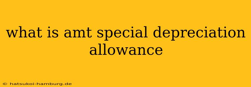 what is amt special depreciation allowance