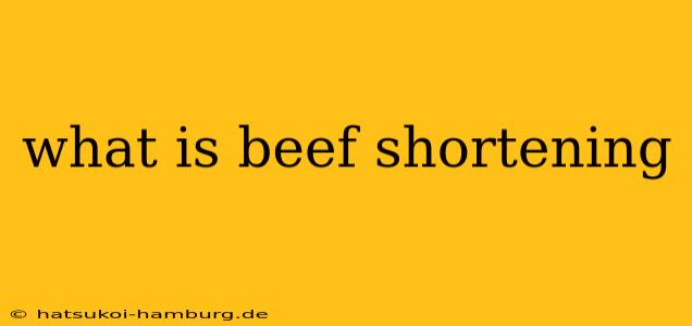 what is beef shortening
