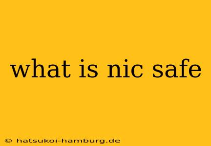 what is nic safe