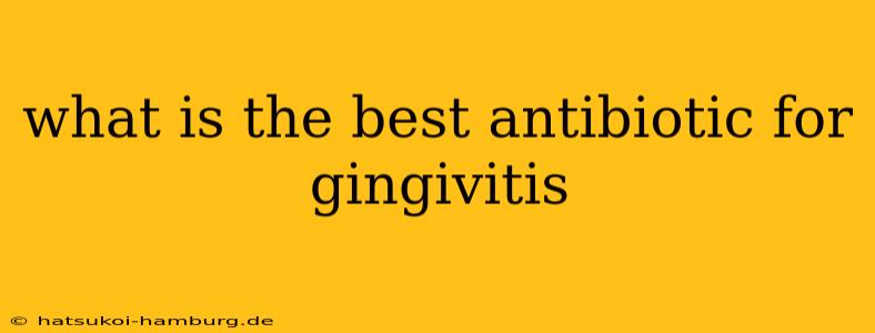 what is the best antibiotic for gingivitis